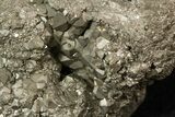 Chunk Of Golden Pyrite (Fools Gold) - Peru #50094-1